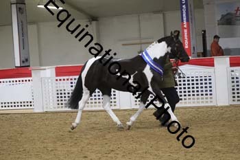 GYE-1186