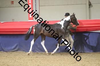 GYE-1190