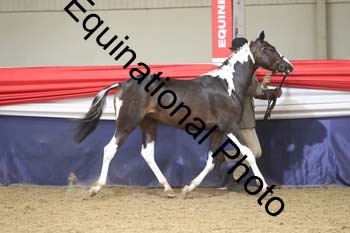 GYE-1192