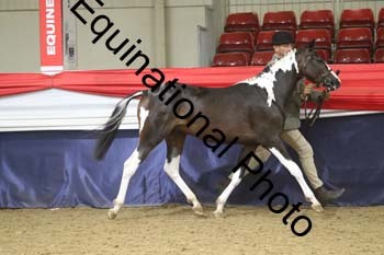GYE-1193