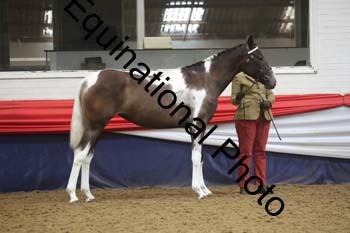 GYE-1195