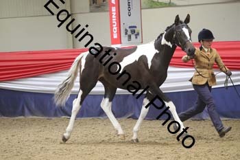 GYE-1196
