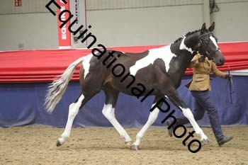 GYE-1198