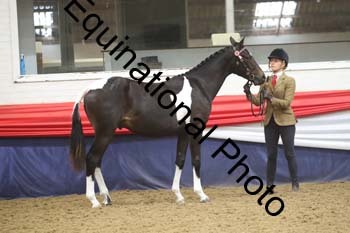 GYE-1201