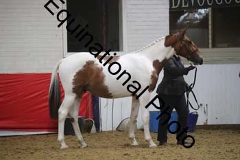 GYE-1205