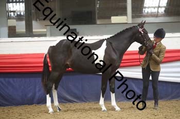 GYE-1206