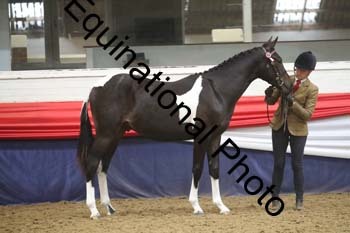 GYE-1207