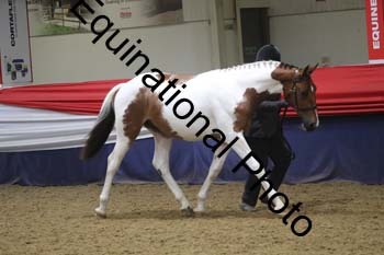 GYE-1208