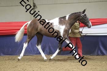 GYE-1218