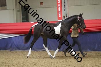 GYE-1223