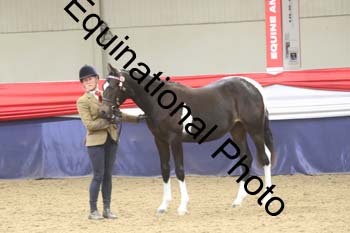 GYE-1232