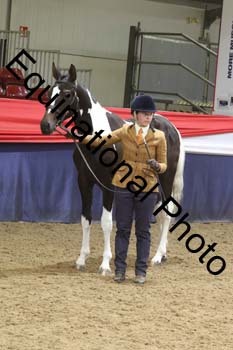 GYE-1242