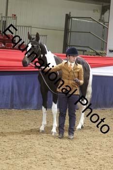 GYE-1243