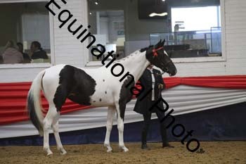 GYE-1264