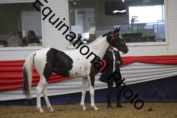 GYE-1265