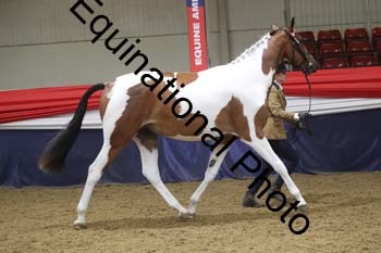 GYE-1271