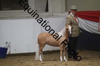 GYE-1273