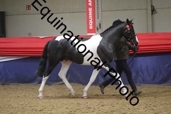 GYE-1283