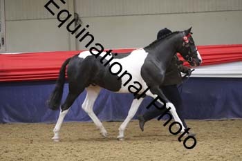 GYE-1284