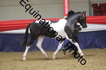 GYE-1285