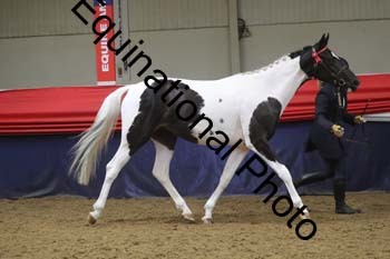 GYE-1289