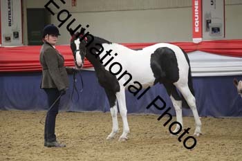 GYE-1297