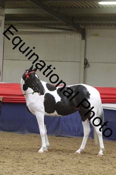 GYE-1303