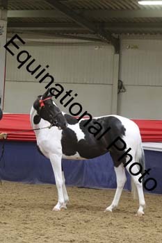 GYE-1304