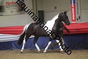 GYE-1336