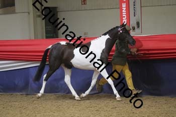 GYE-1342