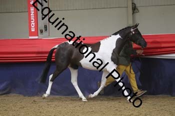 GYE-1343