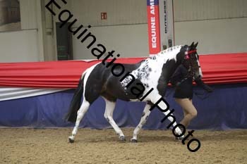 GYE-1346