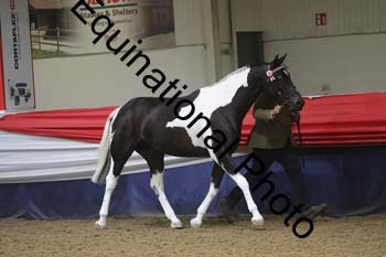 GYE-1359