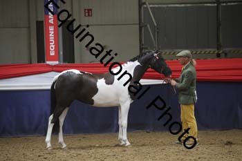 GYE-1379