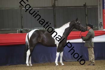 GYE-1380