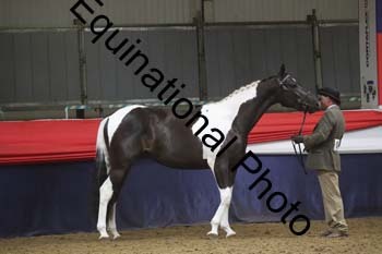 GYE-1381