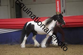 GYE-1399