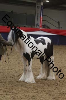 GYE-1433