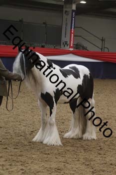 GYE-1434