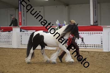 GYE-1443