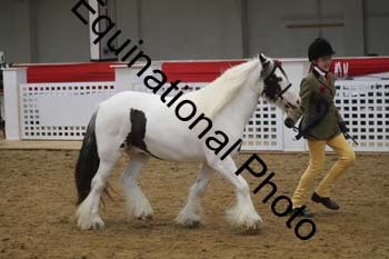 GYE-1448