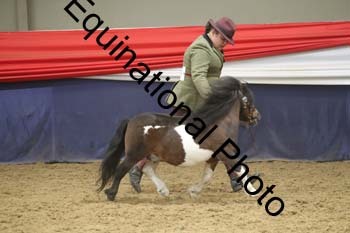 GYE-1453