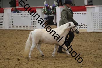 GYE-1484