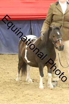 GYE-1493