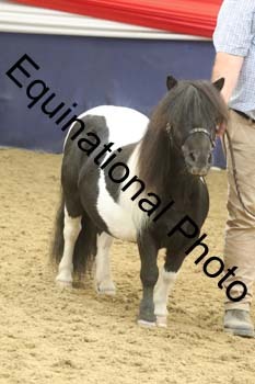 GYE-1499