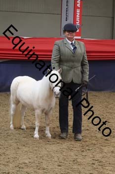 GYE-1507