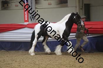 GYE-1535