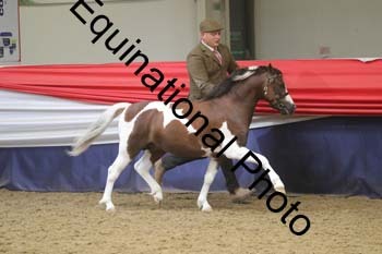 GYE-1549