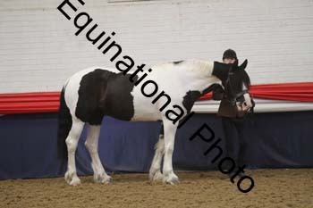 GYE-1552