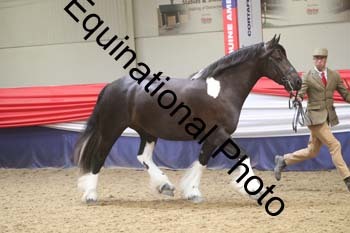 GYE-1556